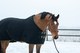 WAHLSTEN FURRY QUICK DRY FLEECE TÄCKE, SVART